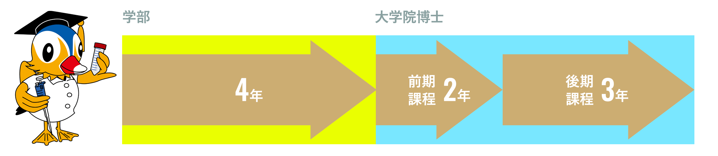 就職活動は、専任のスタッフがサポートしています。