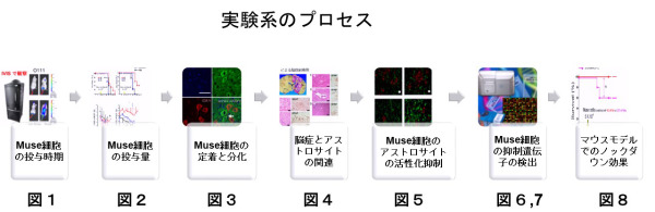 実験系のプロセス