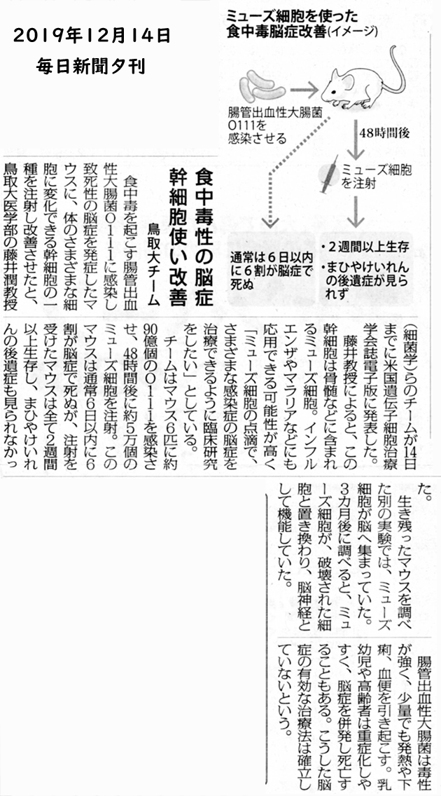毎日新聞2