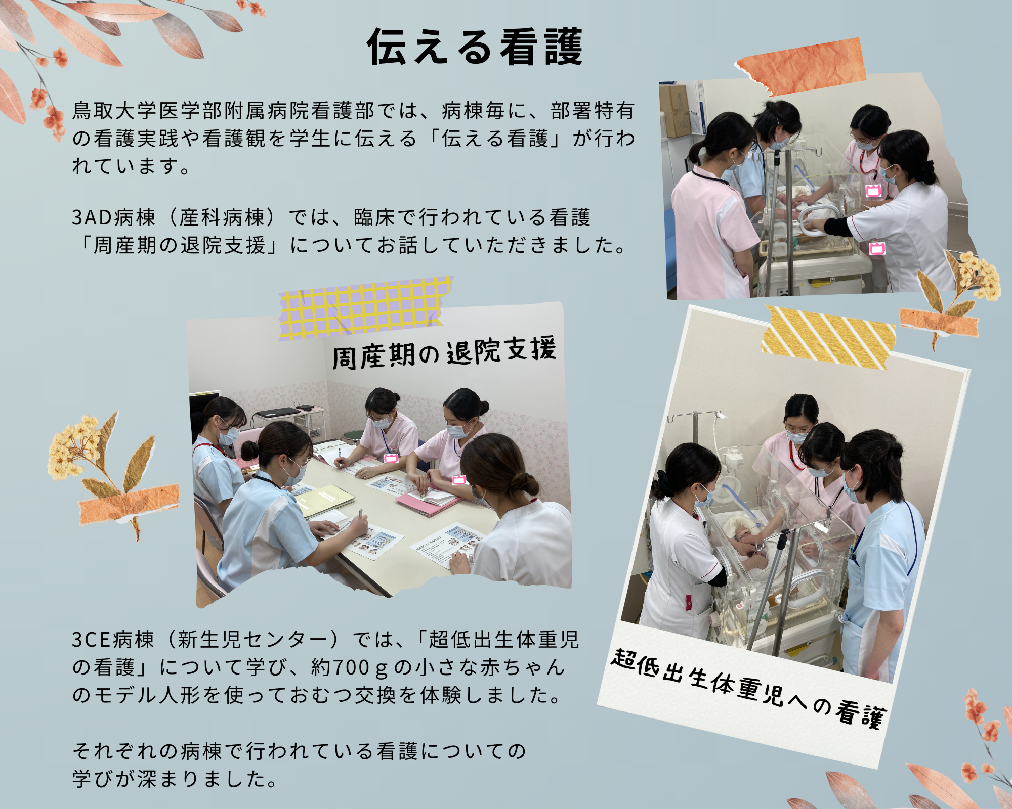 母性伝える看護