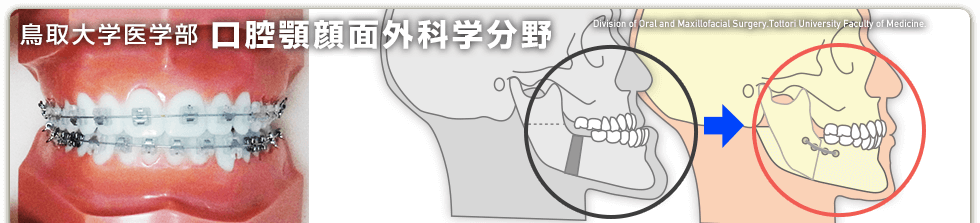 口腔顎顔面外科学分野ホームページ