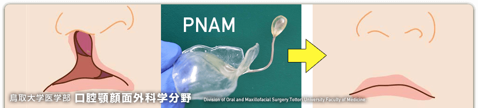口腔顎顔面外科学分野ホームページ