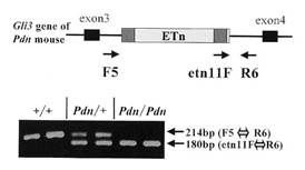 fig3