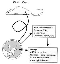 fig4