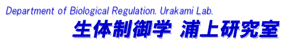 Urakami lab.