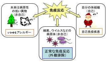 免疫反応
