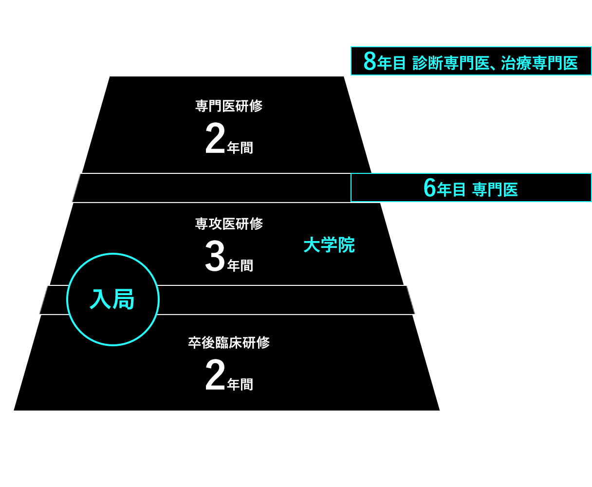 研修システム