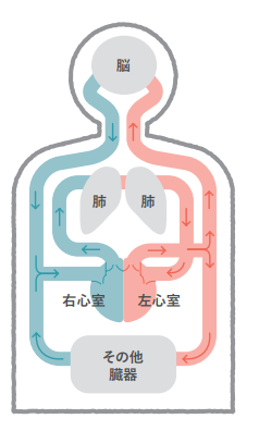 弁膜症