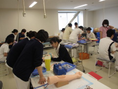 新人採血