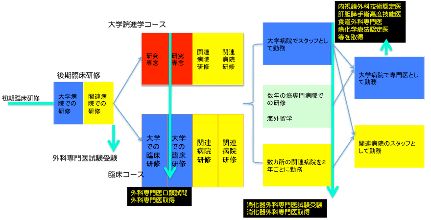 当科における消化器外科医キャリアアップ