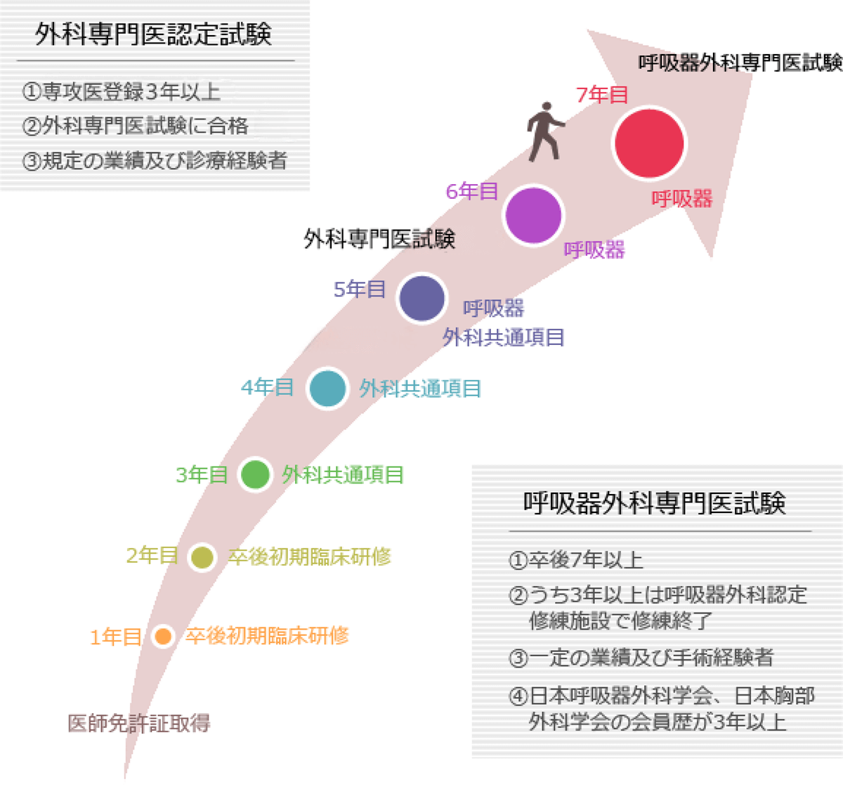 専門医への道